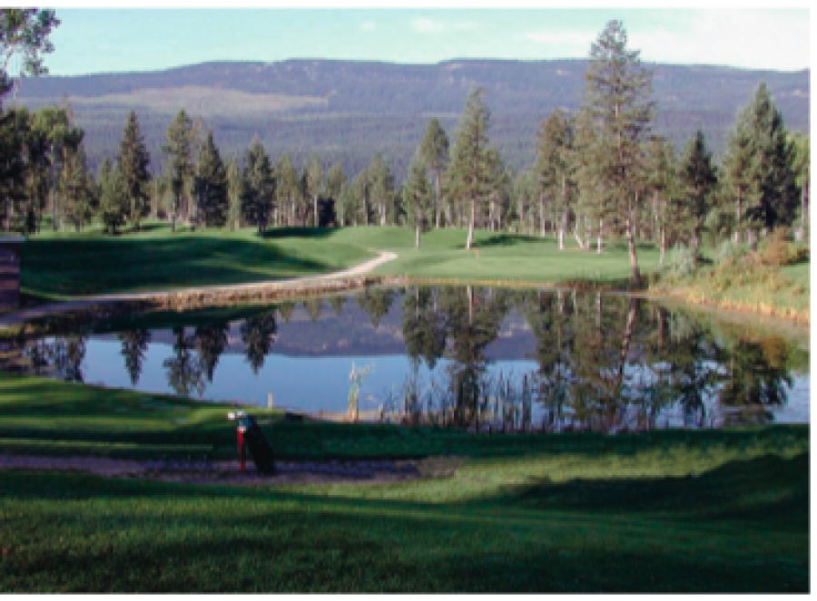 Spur Valley Golf Resort