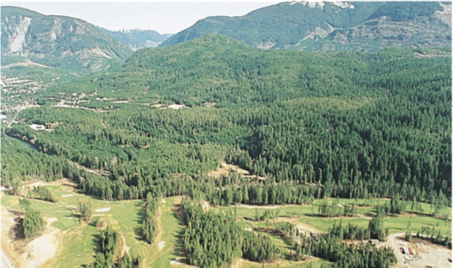 Gold River Golf Course