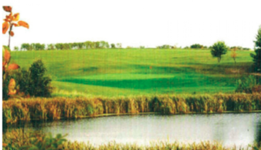 Country Nine Golf Course
