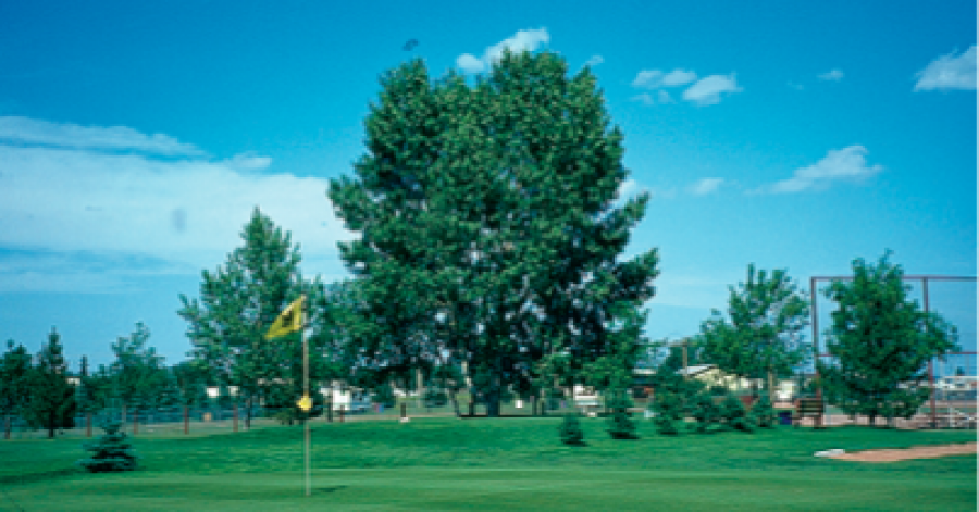 Castor Golf Club