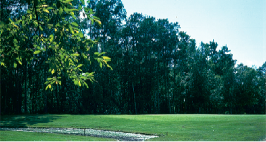 Pigeon Lake Golf Club