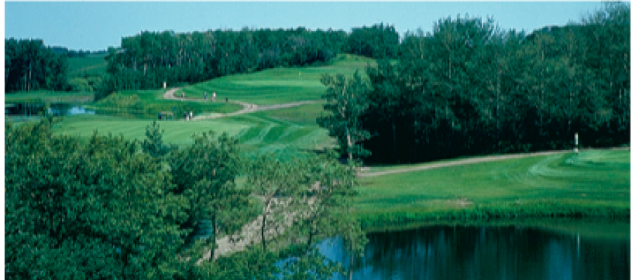 Pheasantback Golf And Country Club