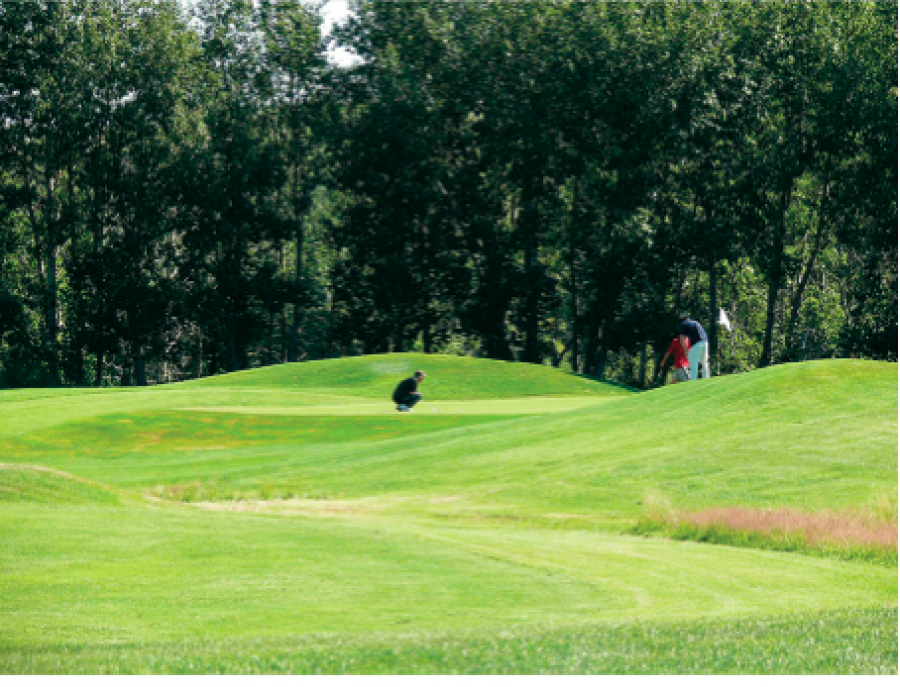 Tooth of the Dogpound Creek Golf Course