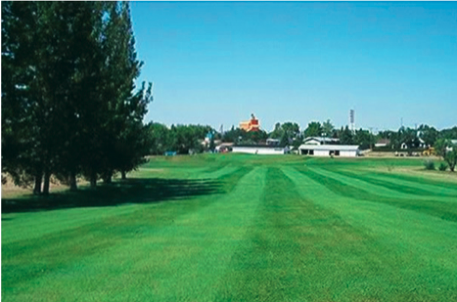 Coronach Golf Club