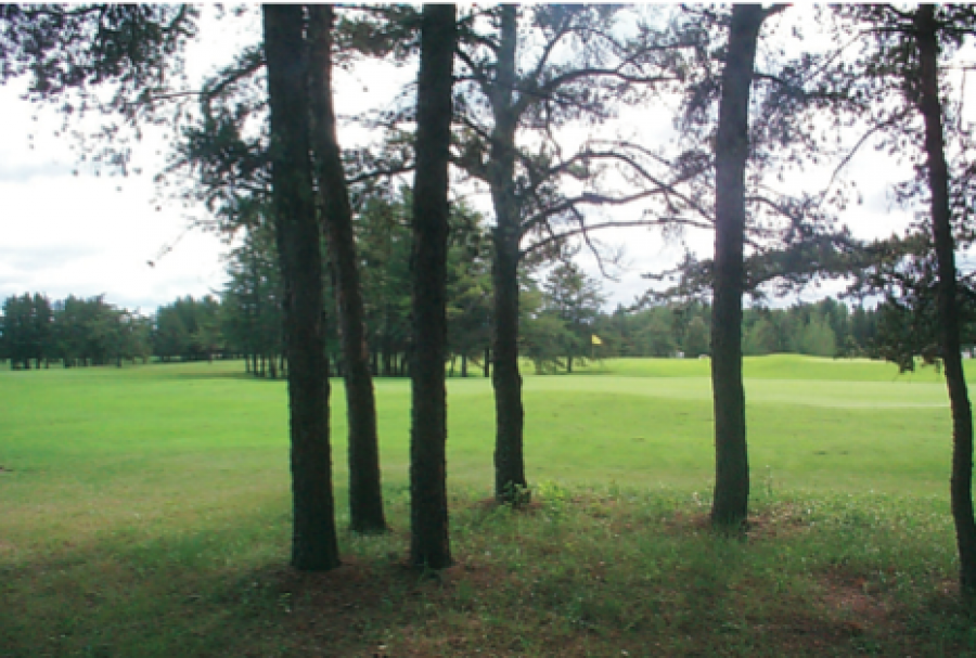 Hudson Bay Golf Course