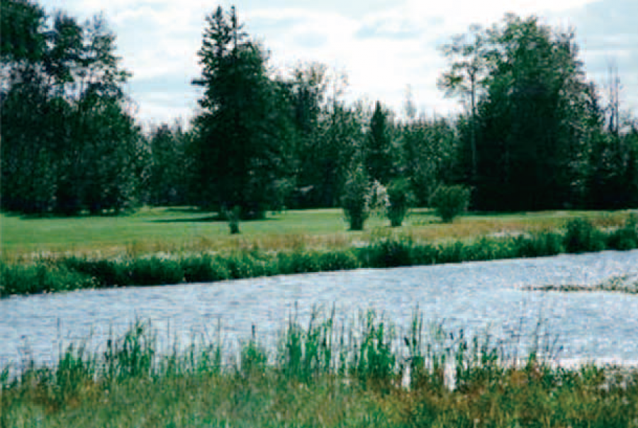 The Creek Golf Course and Campground