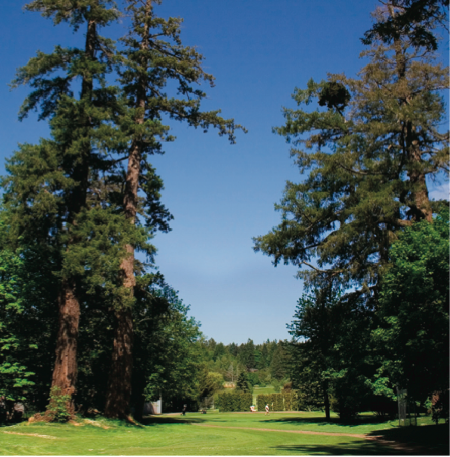 Ardmore Golf Course